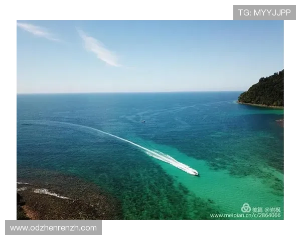 沙巴真人娱乐安全保障措施，确保每一位玩家的资金与信息安全