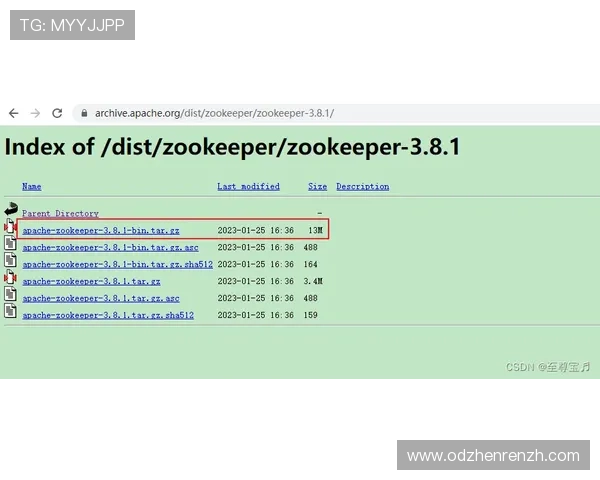 欧宝真人登陆常见问题解答,解决登录遇到的各种技术难题与账户安全疑虑