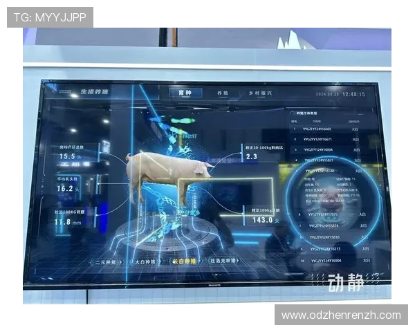 结合大数据与AI技术的DB娱乐预测为游戏开发带来的创新变革