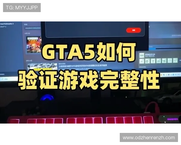如何高效完成r星真人验证流程提升账号安全性与游戏体验