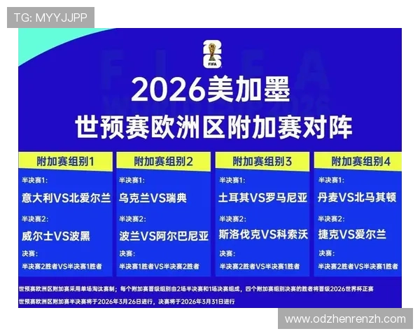2026年世界杯挪威对阵法国比赛赛后详细复盘与精彩瞬间回顾